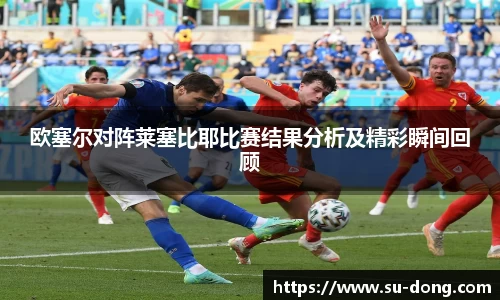 欧塞尔对阵莱塞比耶比赛结果分析及精彩瞬间回顾