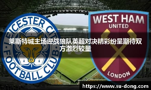 莱斯特城主场迎战狼队英超对决精彩纷呈期待双方激烈较量
