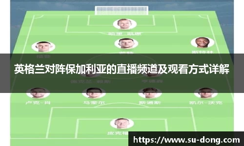 英格兰对阵保加利亚的直播频道及观看方式详解