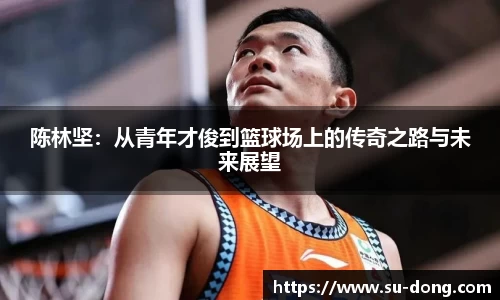 陈林坚：从青年才俊到篮球场上的传奇之路与未来展望