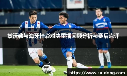兹沃勒与海牙精彩对决重播回顾分析与赛后点评