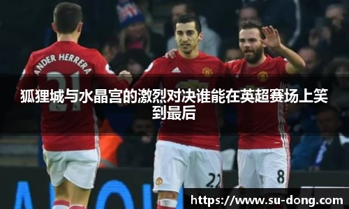 狐狸城与水晶宫的激烈对决谁能在英超赛场上笑到最后