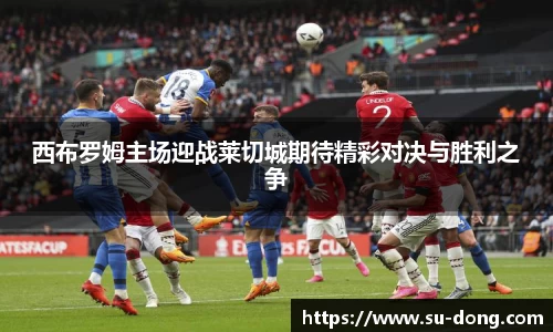 西布罗姆主场迎战莱切城期待精彩对决与胜利之争